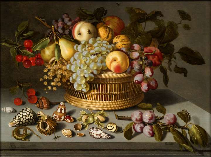 Fruit Still-Life with shells and insects.
